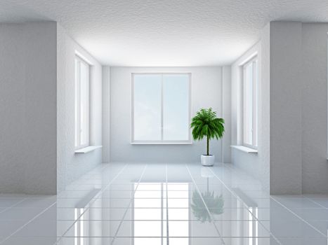 The empty hall with plant and windows