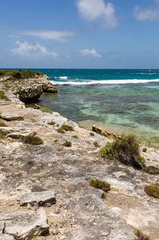 Rustic Tropical Beach Coastline near Devil's Bridge Antigua