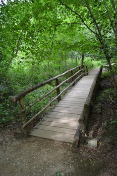 Rustic wooden bridge crossing a stream in a forest.