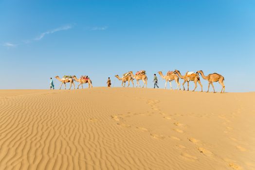 Caravan with bedouins and camels in gold sand dunes in desert at sunset. Thar desert or Great Indian desert.