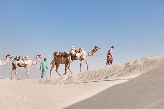 Caravan with bedouins and camels in white sand dunes under blue sky