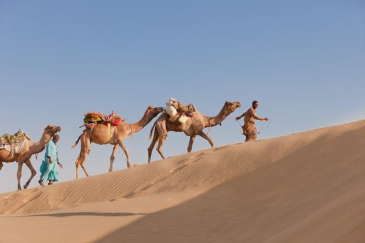 Caravan with bedouins and camels in sand dunes in desert at sunset under clean blue sky 
