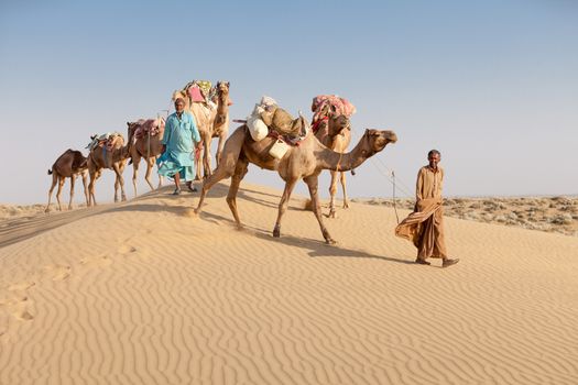 Caravan with bedouins and camels on sand dunes in desert at sunset. Thar desert or Great Indian desert.