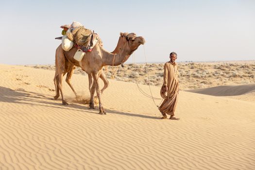 Bedouin and camels in sand dunes in desert under clean sky