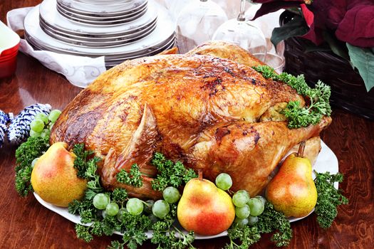 Thanksgiving or Christmas turkey dinner with fresh pears, grapes and parsley. Poinsettia flower arrangement, dishes and wine glasses in background.