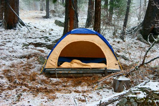 Winter wood and tent of the tourist