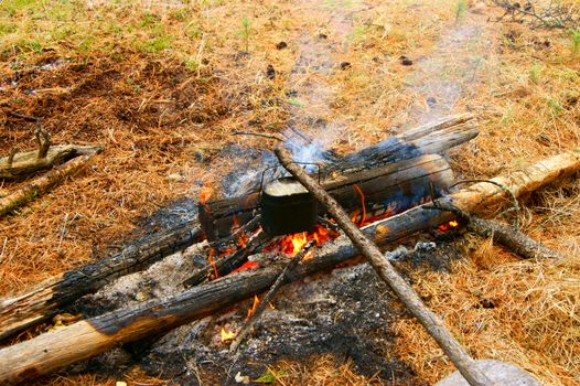 Prepare food on campfires in wood