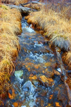 Clean mountain creek in spring wood