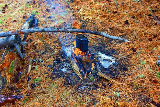 Preparation of the food in wood on campfires