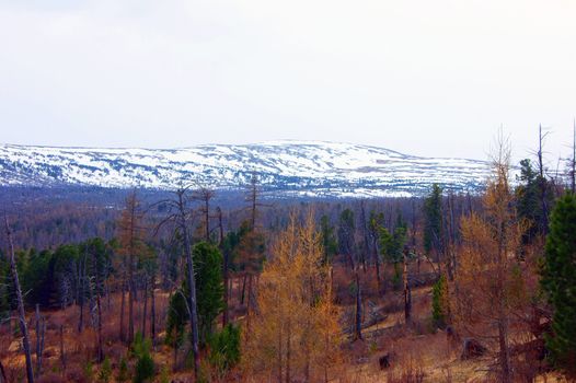Spring landscape of the snow mountains