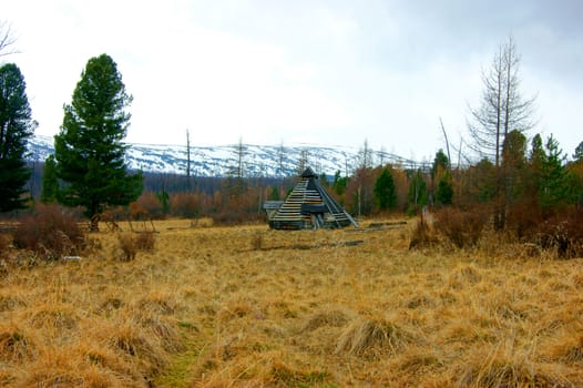 Aging building from boards in spring wood