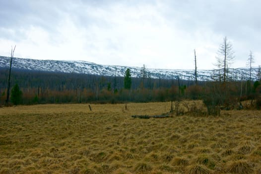 Nature by springtime in mountain high