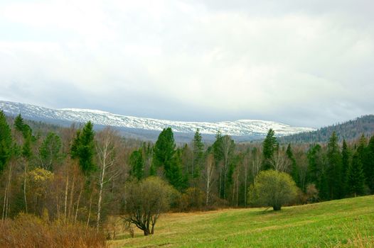 Green glade by springtime and snow mountains