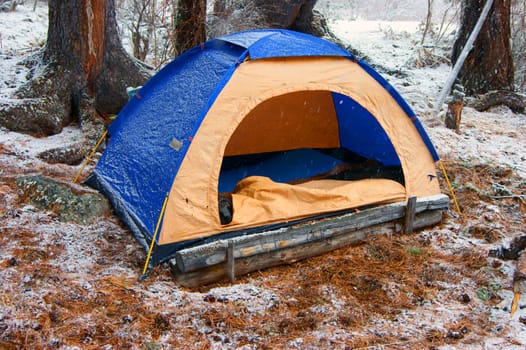 Tourist tent in snow wood in winter