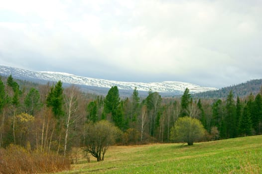 Spring landscape and snow mountains