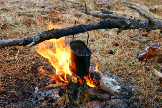 Prepare food on campfires in wood