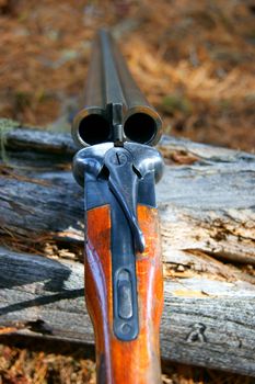 Old handgun for hunt in wood
