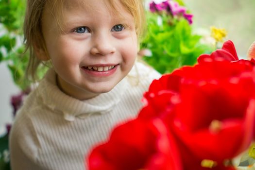 Little girl congratulates and gives tulips