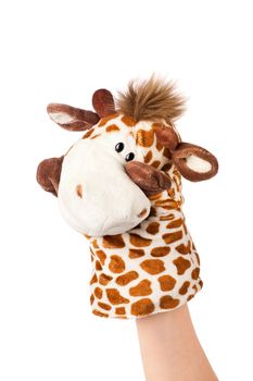 Hand puppet of giraffe isolated on white, shy emotion. 