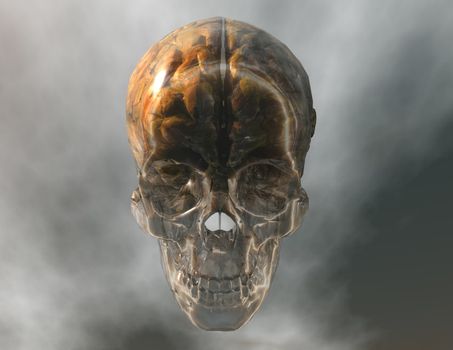 digital visualization of a crystal skull with brain