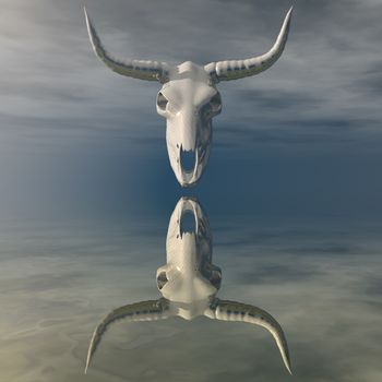 digital visualization of a skull