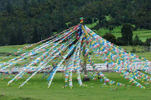 Colorful buddhist prayer flags on the grassland in Tibet