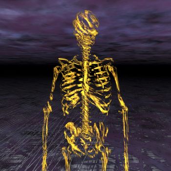 Digital Illustration of a Skeleton