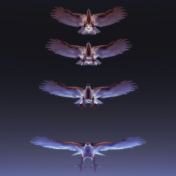 Digital Illustration of flying Eagles