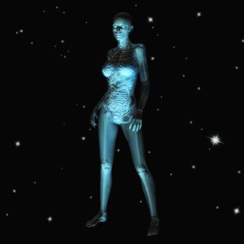 Digital Illustration of Human Anatomy