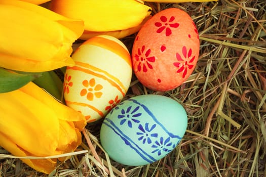 Colored easter eggs and yellow  tulips on hay