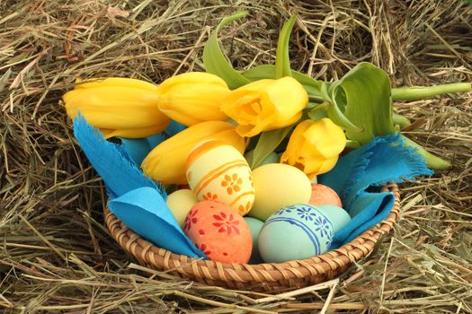 Basket of colored easter eggs and tulips on hay