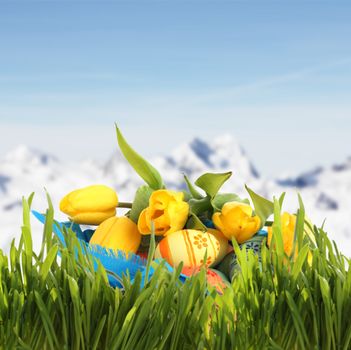 Easter basket with colored eggs and yellow tulips in spring mountains