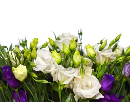 bouquet of white and violet lisianthus flowers on white 