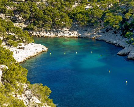 Calanques of Port Pin in Cassis in France near Marseille