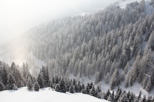 Winter snowy mountain forest top view