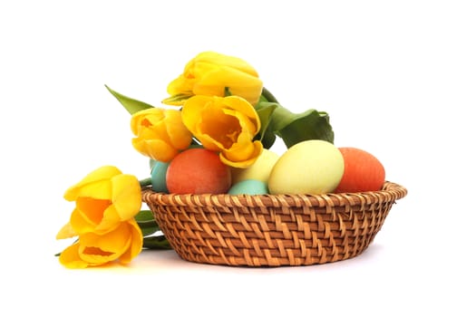 Colorful easter eggs in basket and tulips isolated on white