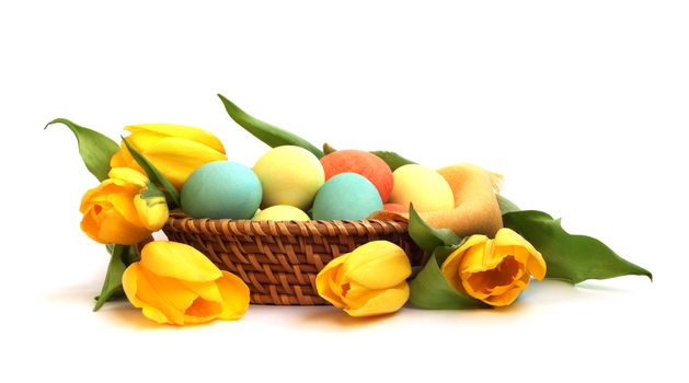 Colorful easter eggs in basket and tulips isolated on white