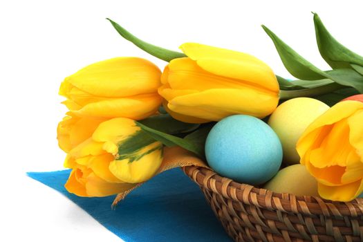 Colorful easter eggs in basket and tulips isolated on white corner composition