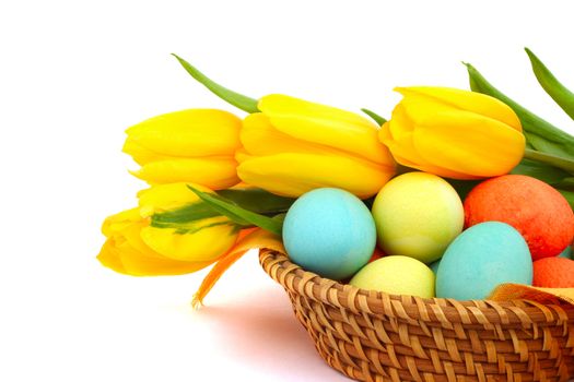 Colorful easter eggs in basket and tulips isolated on white corner composition