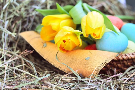 Basket of colored easter eggs and tulips on hay