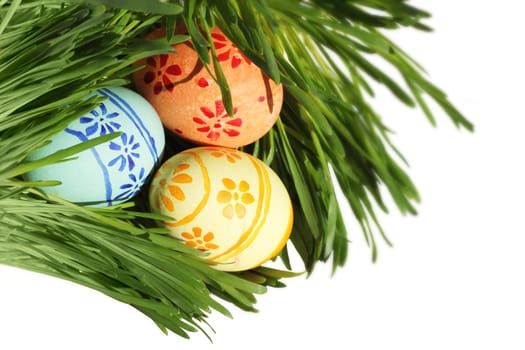 Easter eggs in green spring grass on white background