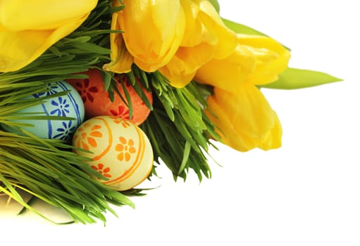 Easter eggs in green spring grass with yellow tulips on white background