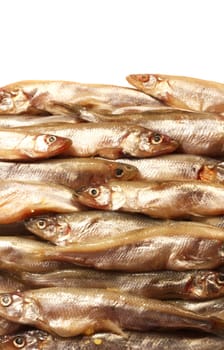 smelt small fresh fish background and white copy space
