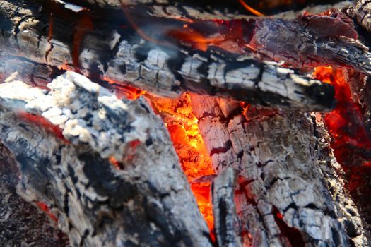 Beautiful fire on coal macro closeup