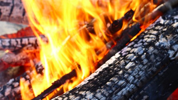 Beautiful fire on coal macro closeup