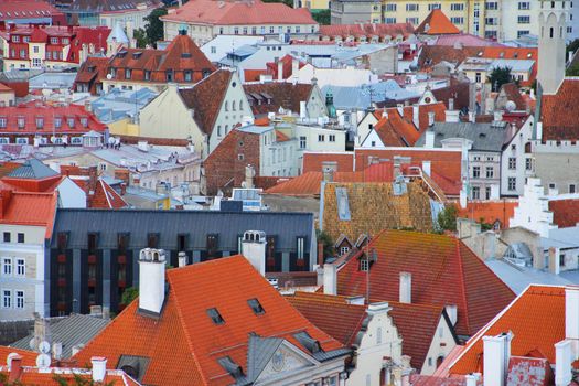 Panorama of old town roofs in Tallinn