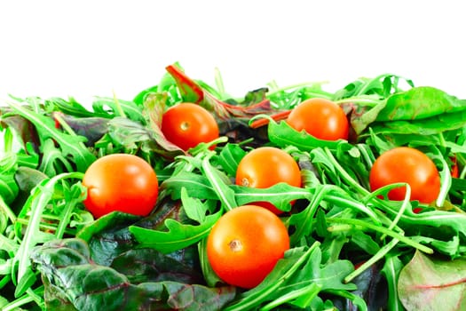 Rucola ,Chard and cherry tomatoes salad background with white copy space