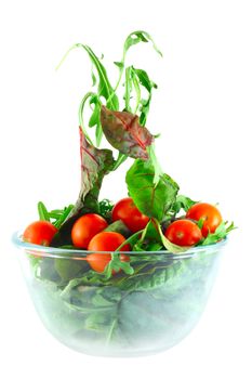Rucola, Chard and cherry tomatoes in bowl flying salad lightness concept