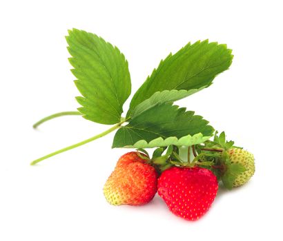 Strawberry with leaves isolated on white background