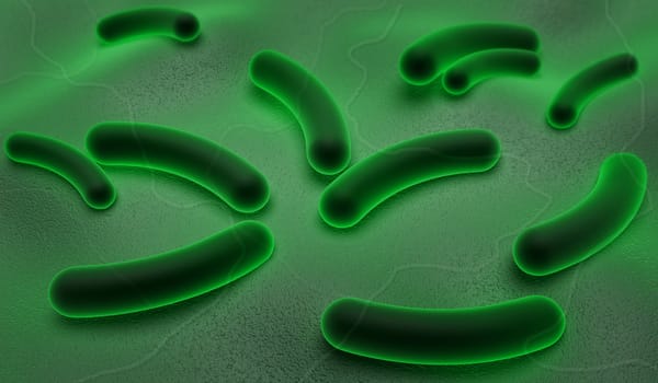 Digital illustration of E coli Bacteria in color background




Digital Illustration of E coli Bacteria in colour background